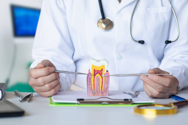 Best Emergency Dental Care for Trauma or Injury in Sibley, LA